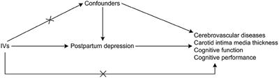 Investigating the causal association of postpartum depression with cerebrovascular diseases and cognitive impairment: a Mendelian randomization study